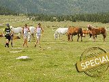 Was ist Trailrunning? 